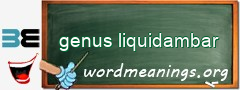 WordMeaning blackboard for genus liquidambar